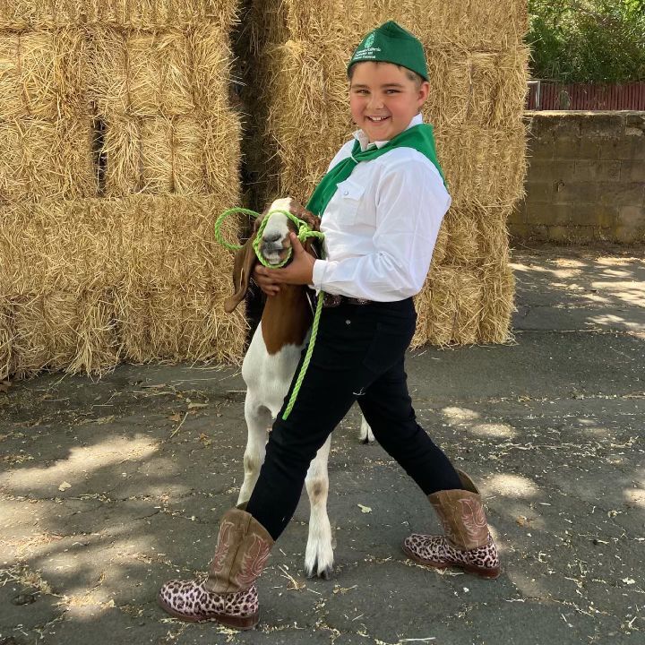 Napa Ag 4 Youth